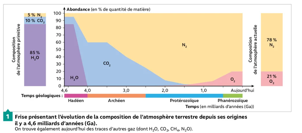Réalisation