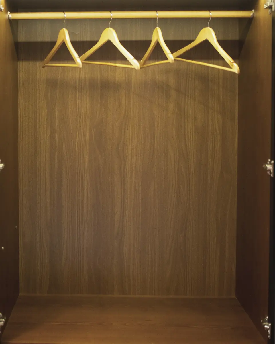 Intérieur d’une penderie en bois, tringle et quatre cintres en bois clair
